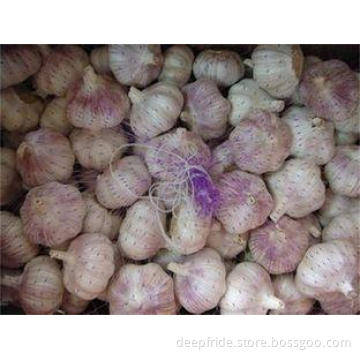 Healthy Pure White Garlic 500g * 20 Bags / Carton , 250g *
